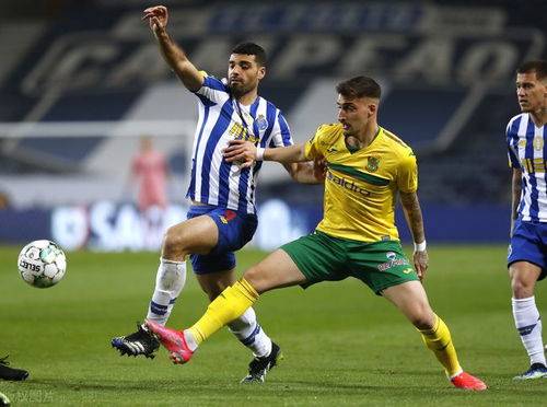 奥地利队实力独特,欧洲足球赛事中屡获胜利的简单介绍 奥地利队实力独特,欧洲足球赛事中屡获胜利的简单介绍