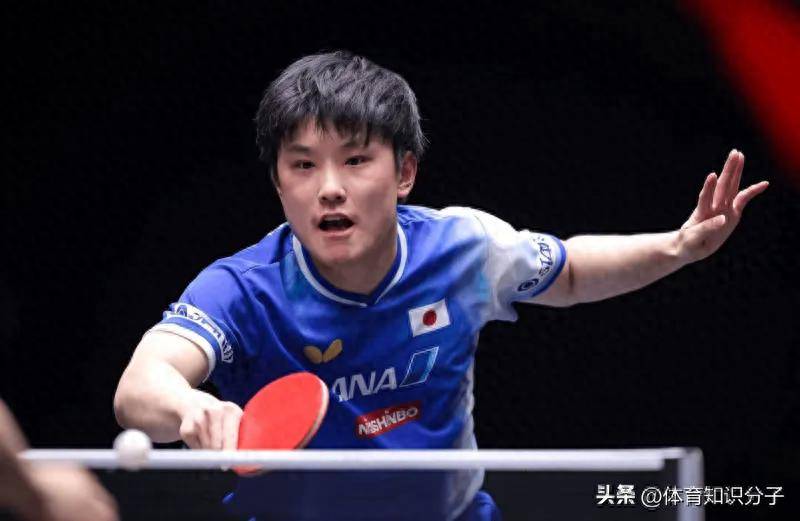 关于德国乒乓球队血洗英国乒乓球队,张本智和打破历史纪录的信息 关于德国乒乓球队血洗英国乒乓球队,张本智和打破历史纪录的信息