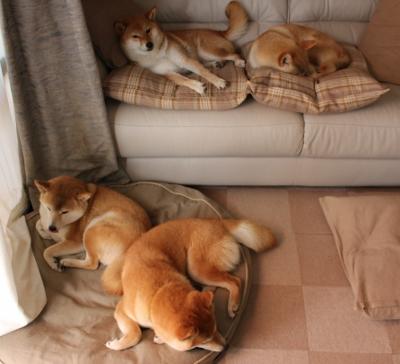 加时鏖战与中场魔术，克罗地亚的坚韧与贝林厄姆的无解统治