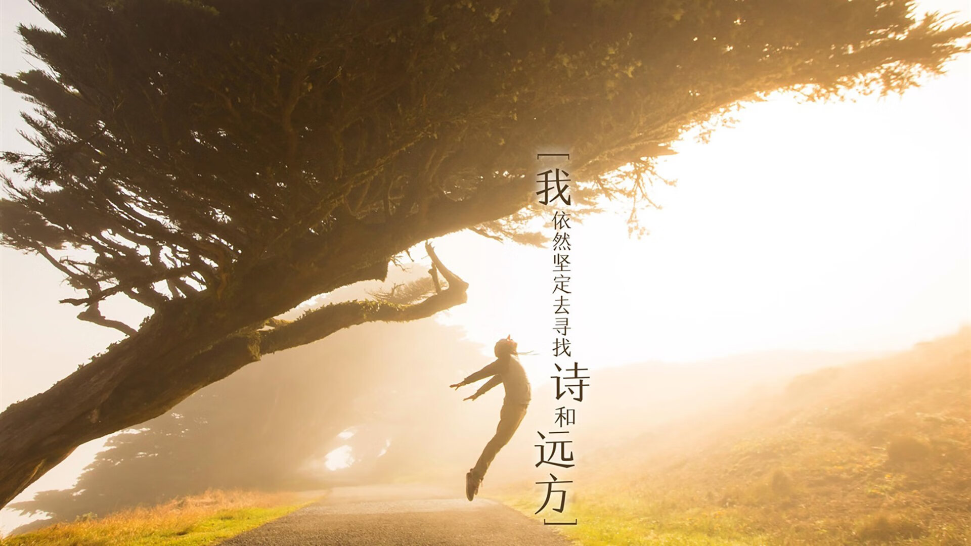 绿茵双生花,阿圭罗的爆发与喀麦隆的坚韧突围